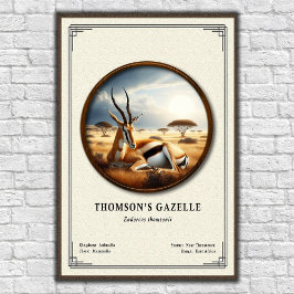 Thomsons Gazelle Zoologie-Serie Poster