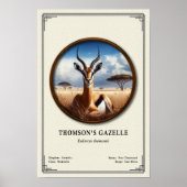 Thomson's Gazelle Zoology Series Poster (Vorne)