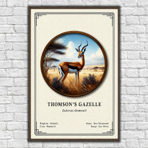 Thomsons Gazellen Zoologie-Serie Poster