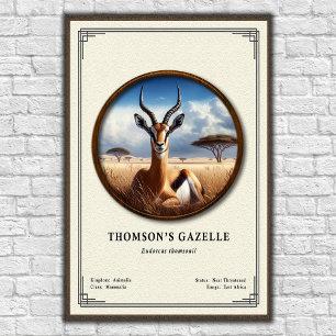 Thomsons Gazellen Zoologie-Serie Poster