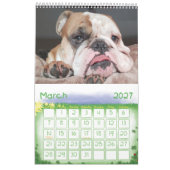 Thor der Kalender der Bulldoggen-2019 (Mär 2027)