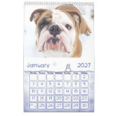 Thor der Kalender der Bulldoggen-2019 (Jan 2027)