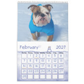 Thor der Kalender der Bulldoggen-2019 (Feb 2027)