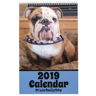 Thor der Kalender der Bulldoggen-2019