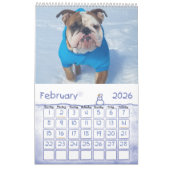 Thor der Kalender der Bulldoggen-2019 (Feb 2026)