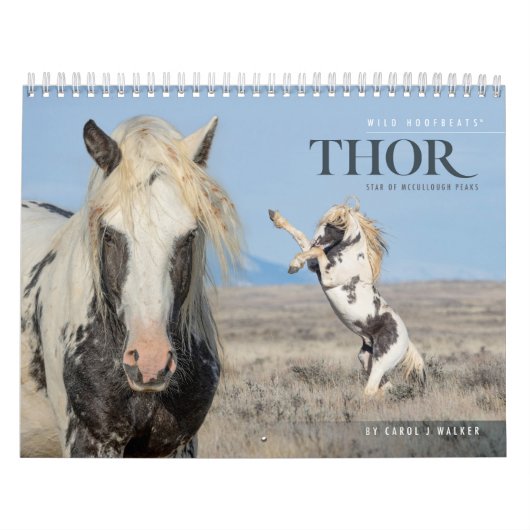 Thor, Kalender der Wilden Pferde (Titelbild)