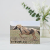 Thor McCullough Peaks Postcard Postkarte (Stehend Vorderseite)