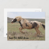 Thor McCullough Peaks Postcard Postkarte (Vorne/Hinten)