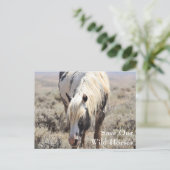 Thor McCullough Peaks Postcard Postkarte (Stehend Vorderseite)