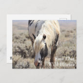 Thor McCullough Peaks Postcard Postkarte (Vorne/Hinten)