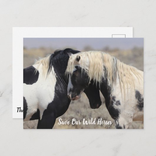Thor McCullough Peaks Wild Horse Postcard Postkarte (Vorne/Hinten)
