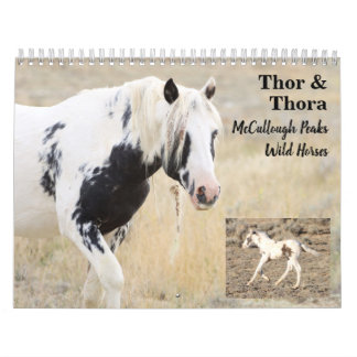 Thor & Thora bei McCullough Peaks Wilde Pferde Kalender