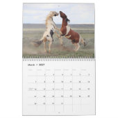 Thor & Thora bei McCullough Peaks Wilde Pferde Kalender (Mär 2027)