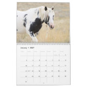 Thor & Thora bei McCullough Peaks Wilde Pferde Kalender (Jan 2027)