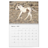 Thor & Thora bei McCullough Peaks Wilde Pferde Kalender (Feb 2027)