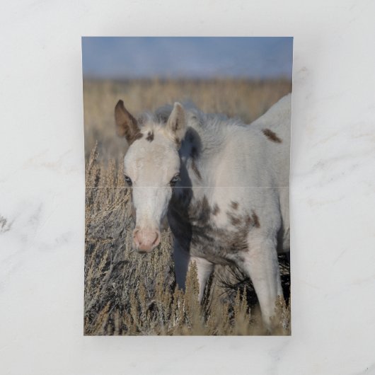 Thor und Thudra Dankeskarte (Innenseite)