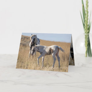 Thor und Thudra Dankeskarte