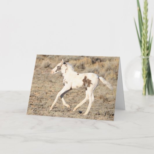 Thora of McCullough Peaks Dankeskarte (Vorderseite)