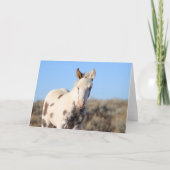 Thora of McCullough Peaks Dankeskarte (Vorderseite)