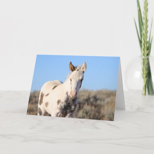 Thora of McCullough Peaks Dankeskarte (Vorderseite)