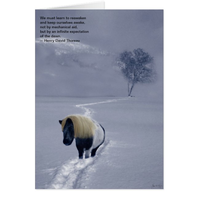 Thoreau-Karte (Vorne)