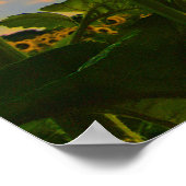 Thoreau, Morning Star Poster (Ecke)