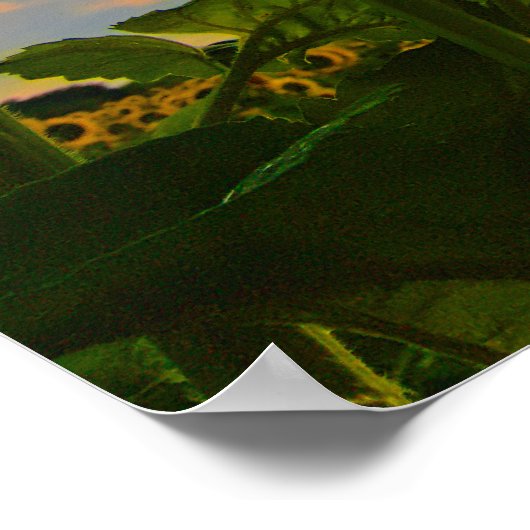 Thoreau, Morning Star Poster (Ecke)