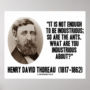 Thoreau nicht genug, um fleißig zu sein, so sind A Poster