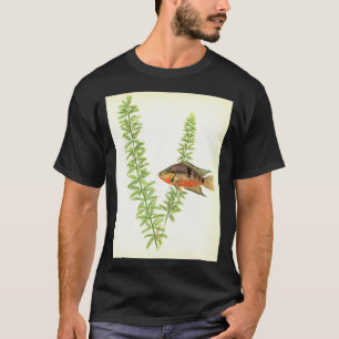 Thorichthys meeki T-Shirt