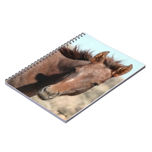 Thorin von Sandwaschbecken Notizblock (Linke Seite)