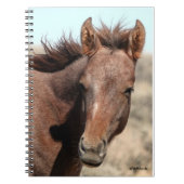 Thorin von Sandwaschbecken Notizblock (Vorderseite)