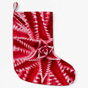 THORN CACTUS, NATURAL PATTERN, ABSTRACT KLEINER WEIHNACHTSSTRUMPF