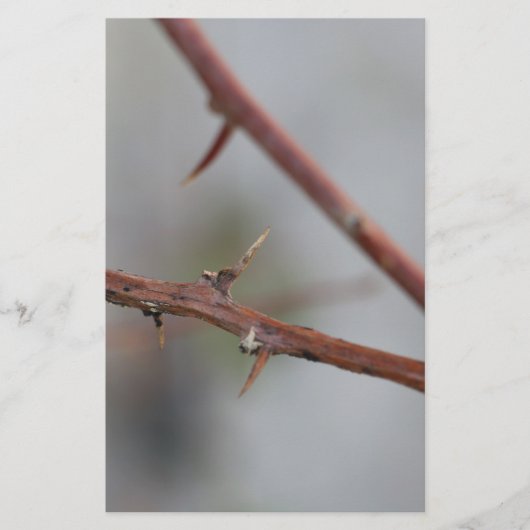 Thorns Briefpapier (Vorderseite)