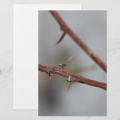 Thorns Briefpapier (Vorne/Hinten)
