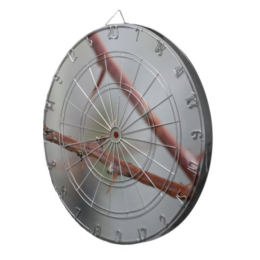 Thorns Dartscheibe (Vorderseite rechts)