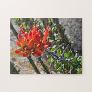 Thorns & Fire Blossoms Puzzle, 11" x 14", 252 pcs Puzzle