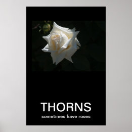 Thorns haben manchmal Rose Demotivationspopster Poster