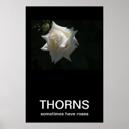 Thorns haben manchmal Rose Demotivationspopster Poster