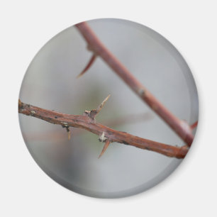 Thorns Magnet