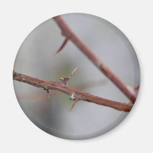 Thorns Magnet (Vorne)