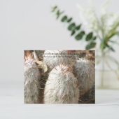 Thorns Postkarte (Stehend Vorderseite)