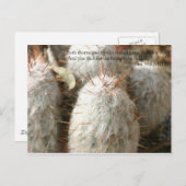 Thorns Postkarte (Vorne/Hinten)