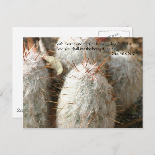 Thorns Postkarte (Vorne/Hinten)