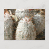 Thorns Postkarte (Vorderseite)