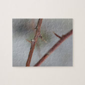 Thorns Puzzle (Horizontal)