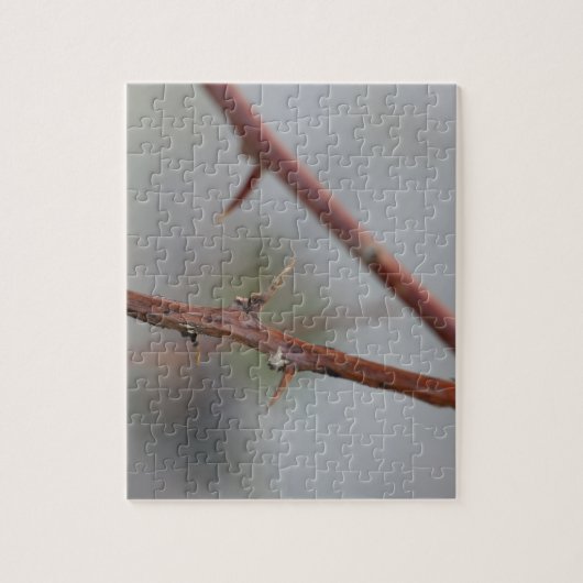 Thorns Puzzle (Vertikal)