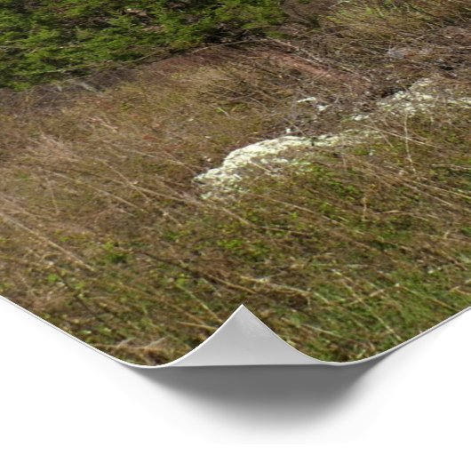 Thornton Gap View im Frühjahr Poster (Ecke)