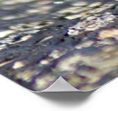 Thorny Devil Lizard Outback Australien, bis zu 24x Poster (Ecke)