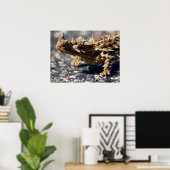 Thorny Devil Lizard Outback Australien, bis zu 24x Poster (Heimbüro)