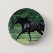 Thoroughbred-Betrieb Button (Vorderseite)